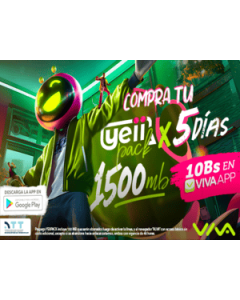 Donuts BOX Mediano 6 unidades